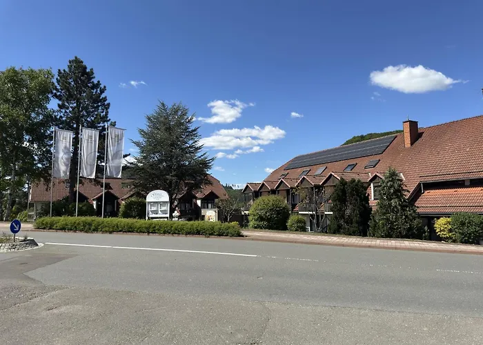 Am Diemelsee In * Heringhausen